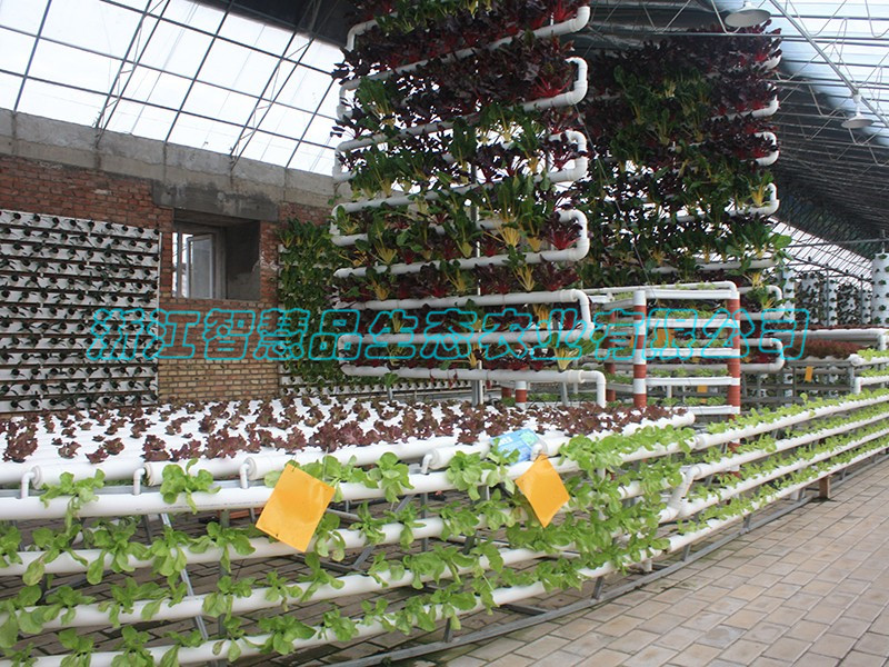 湖南省益阳市赫山区沧水铺镇 益阳现代农业嘉年华-------管道船(1)