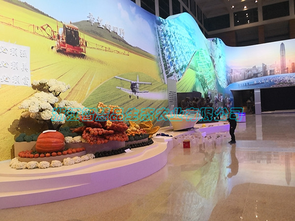 展览展示H-008