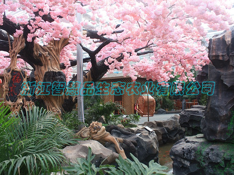 河北省邯郸市现代农业高科技博览园生态餐厅-桃花树