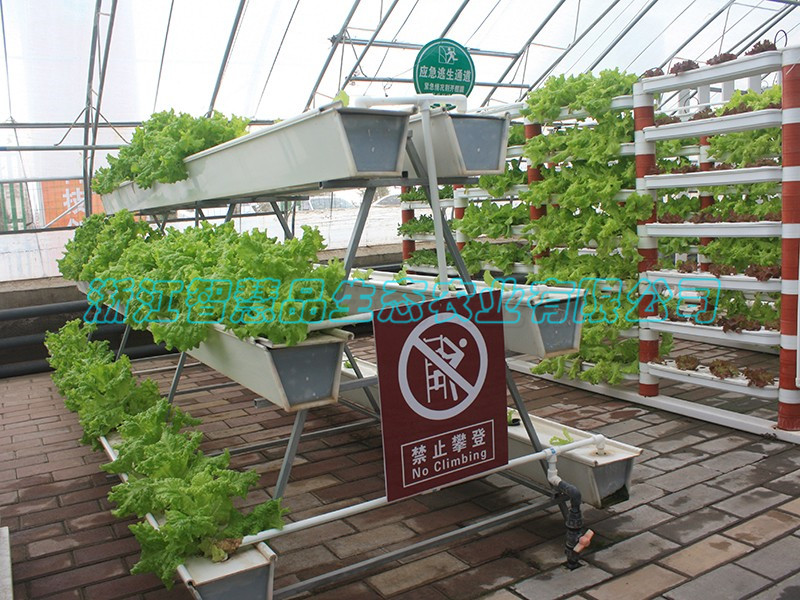 山东省淄博市淄川市俊岭农业合作社---多层槽式栽培