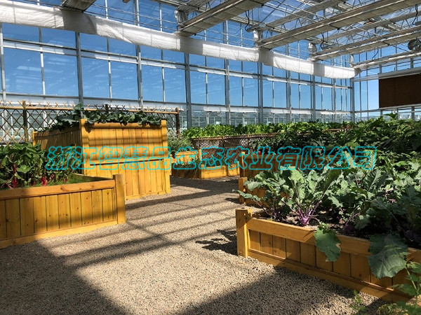 山西省大同市平城区马家小村农业嘉年华-一米菜园C-041
