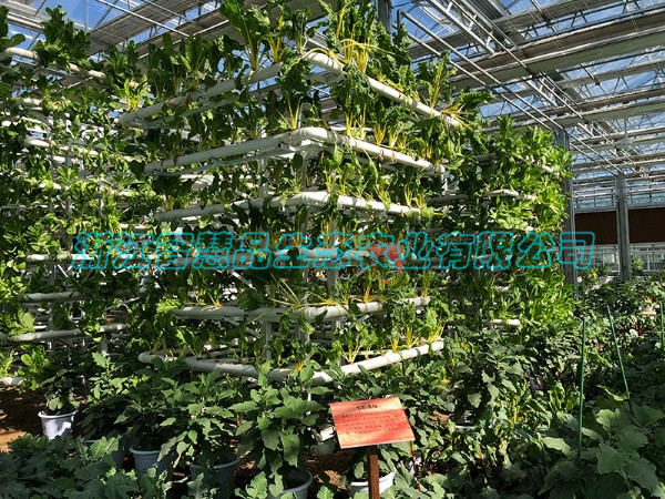 山西省大同市平城区马家小村农业嘉年华-七彩蔬塔C-040