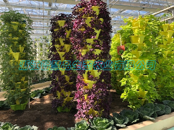 山西省大同市平城区马家小村农业嘉年华-----花瓣式栽培C-037