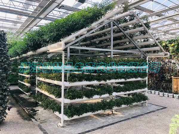 山东省聊城市莘县中原现代农业嘉年华-----管道栽培屋C-009